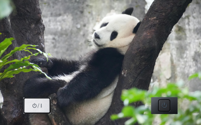 Mióta van a tested beleragadva a „stand by” állapotba?